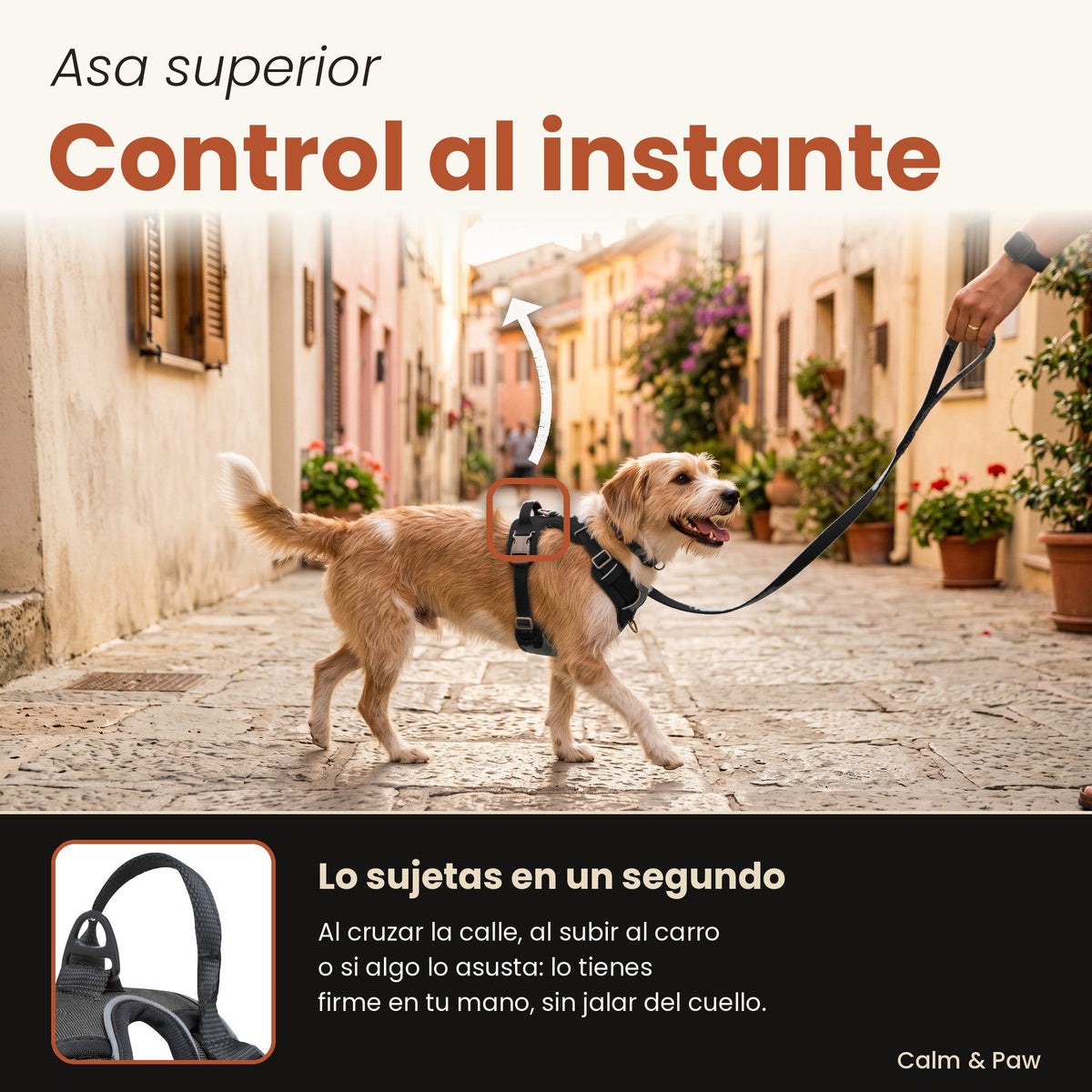 Asa superior del arnés Calm & Paw GiroSuave™ para sujetar al perro al instante al cruzar la calle