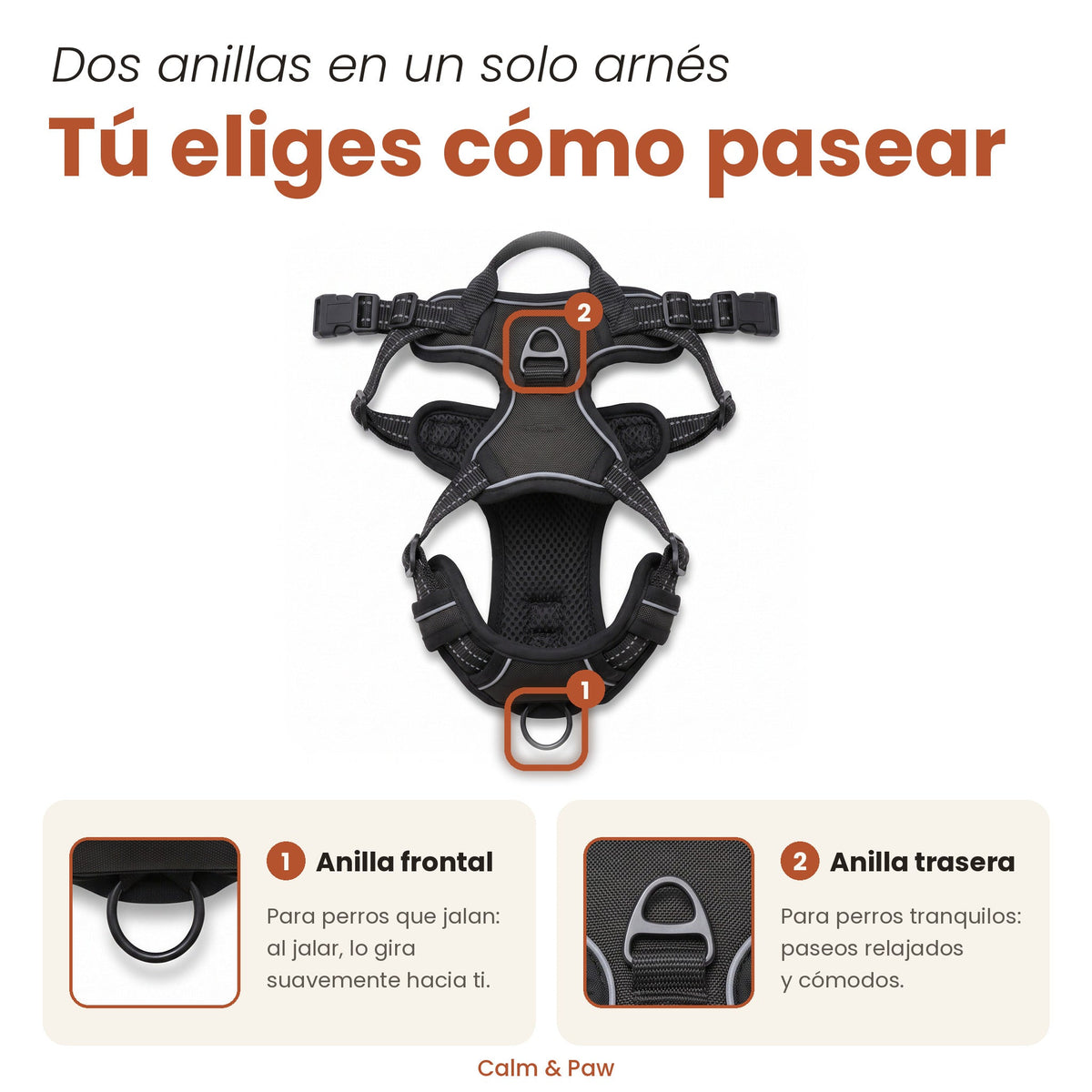 Arnés Calm & Paw GiroSuave™ con anilla frontal antitirones y anilla trasera para paseos tranquilos