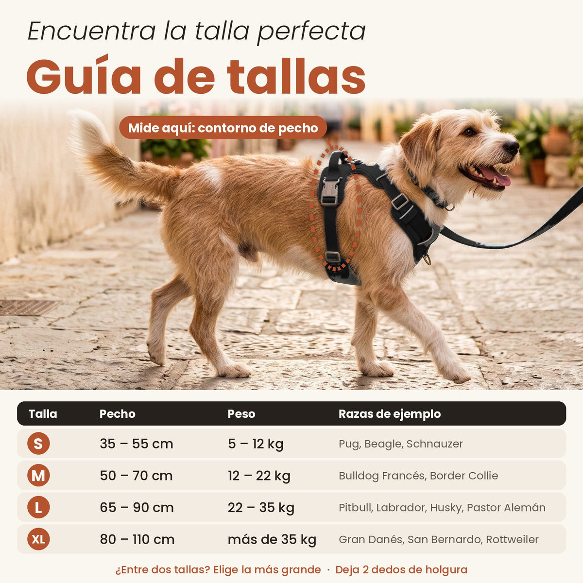 Guía de tallas del arnés Calm & Paw GiroSuave™: talla S, M, L y XL según el contorno de pecho y el peso del perro